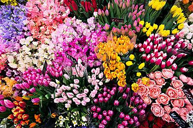 索尼公布《蜘蛛侠》《最后生还者》PC销量：都不错